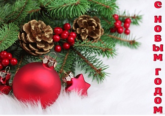 С НОВЫМ ГОДОМ !